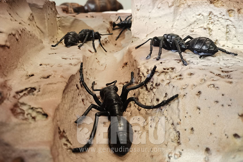 fiberglass ant nest model