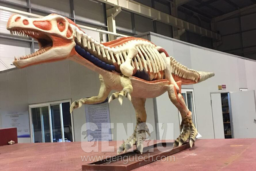 Exploring the mysteries of life: animal model profiles, educational series products